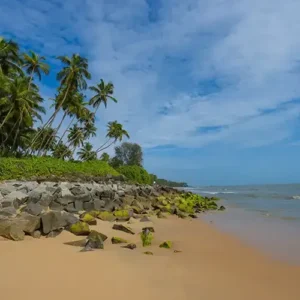 kizhunna-beach-kannur-1713768031_5294f13822683fef3a47